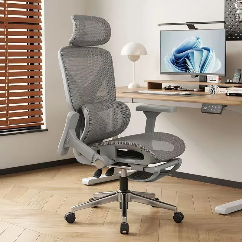 Ergonomic Office Chair with Lu - Gaming & Esports District ulasan dan harga