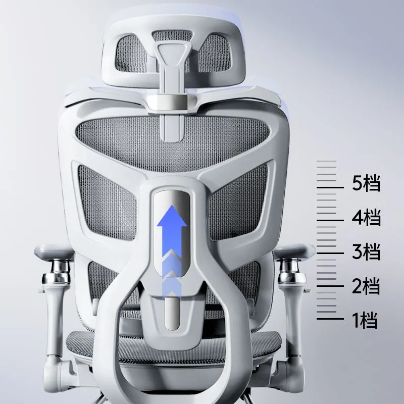Ergonomic Computer Chair with  - Gaming & Esports District ulasan dan harga